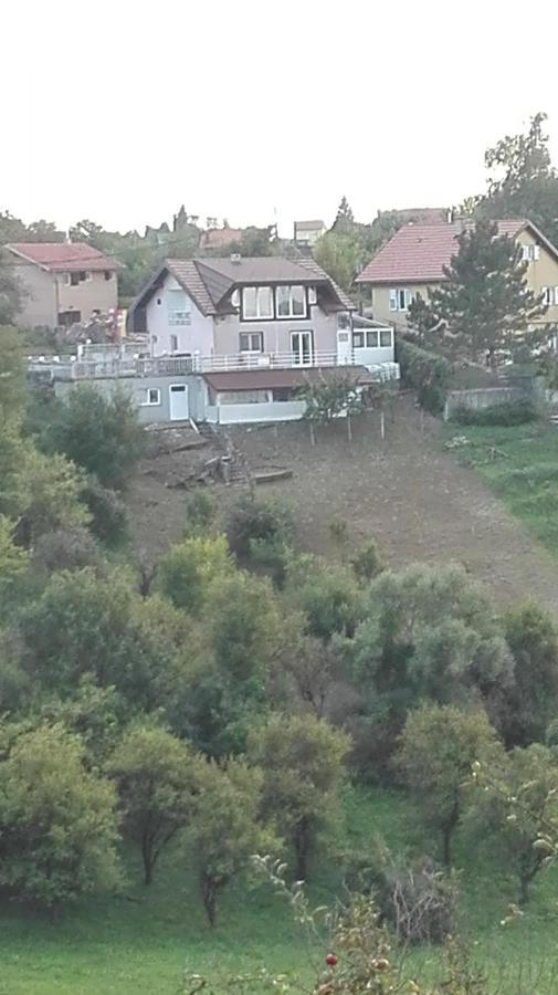 Panorama Apartman Molvice Eksteriør billede